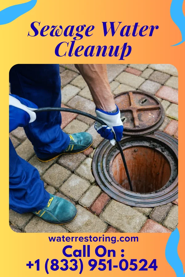 Sewage Water Cleanup in Woodward, IA