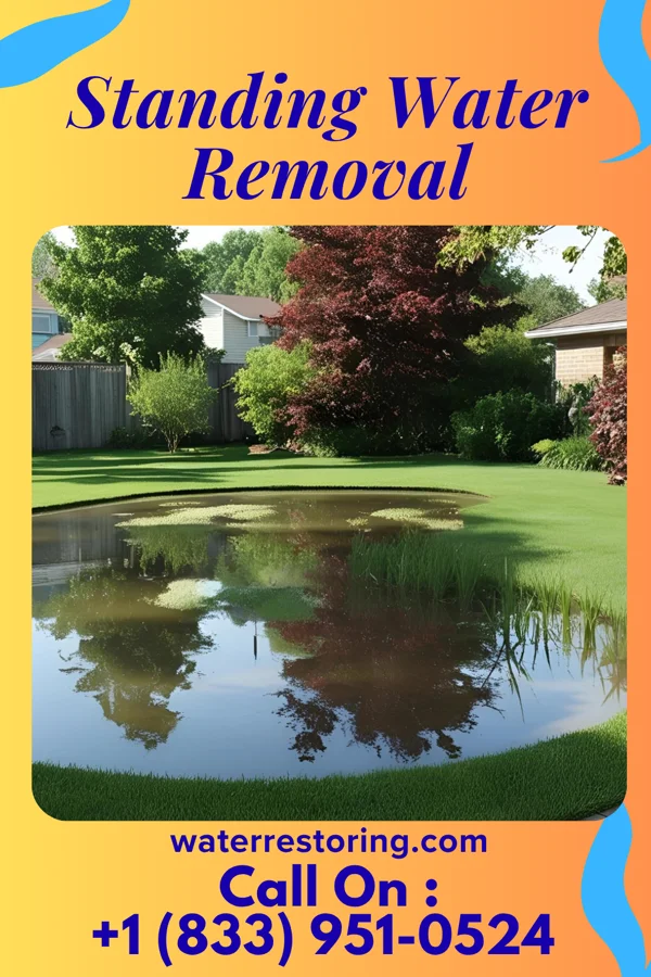 Standing Water Removal in Woodward, IA